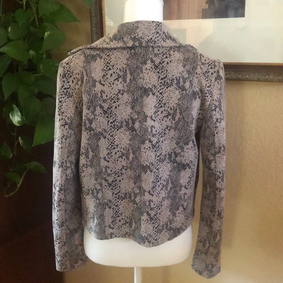 SOHO Snake-Pattern Jacket - Picture 2 of 9